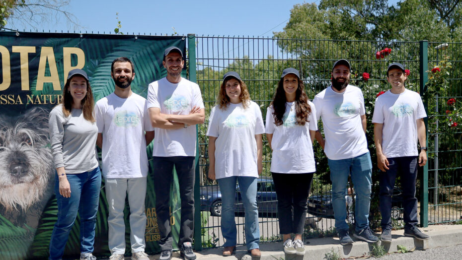 Voluntariado na Casa dos Animais de Lisboa
