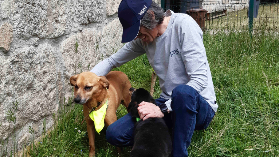 Voluntariado no Centro de Recolha Oficial de Matosinhos